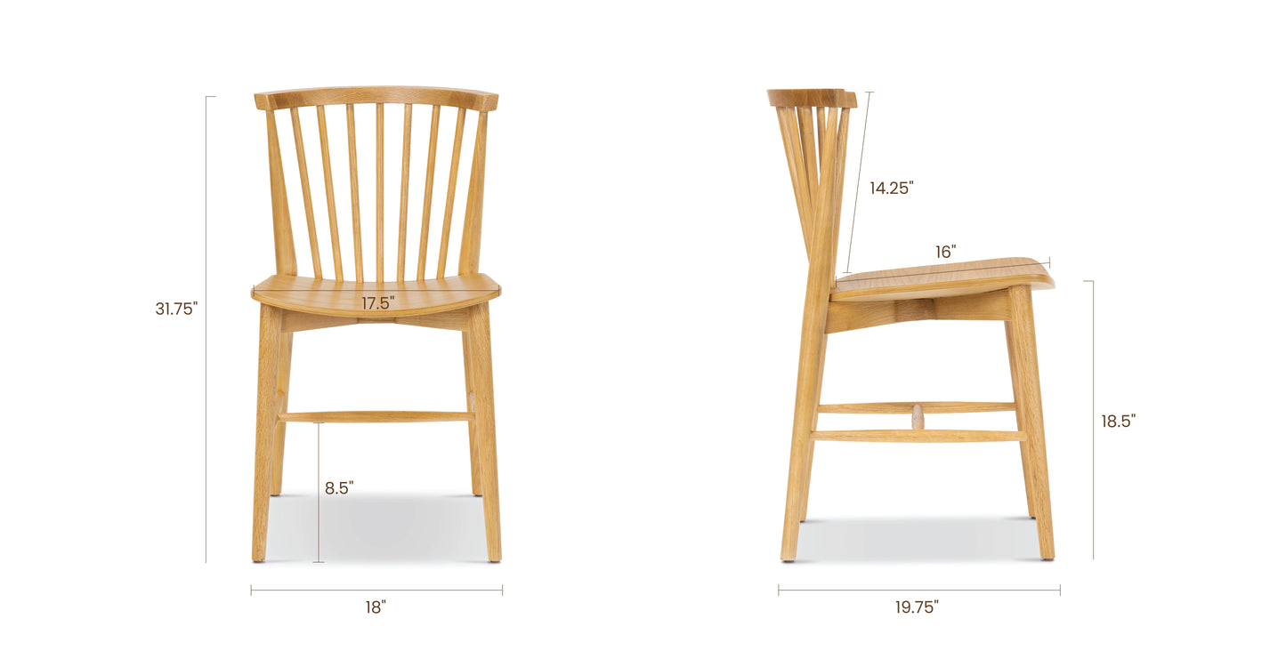 Oak, dimensions