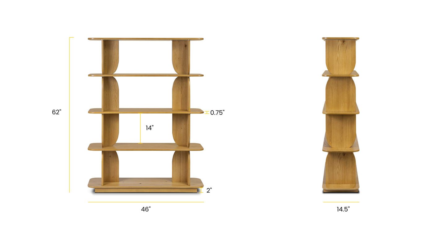 Oak, dimensions